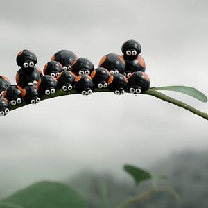Photo Minuscule 2 - Les Mandibules du Bout du Monde