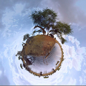 Photo The Wild Immersion