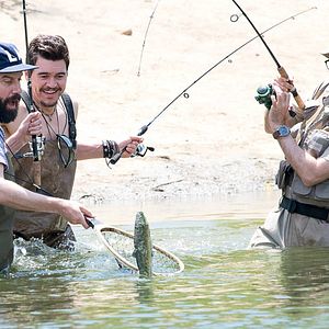 Photo Camping (2018)