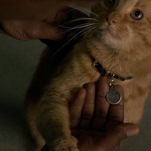 Photo Captain Marvel