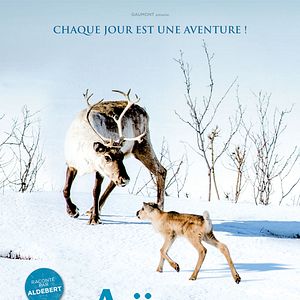 Photo Aïlo : une odyssée en Laponie