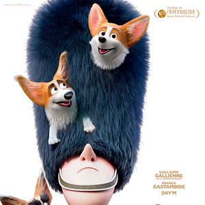 Photo Royal Corgi