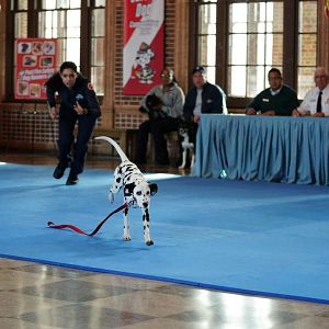 Photo Miranda Rae Mayo