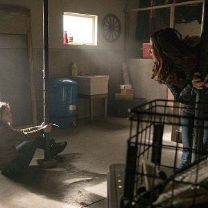 Photo Tracy Spiridakos