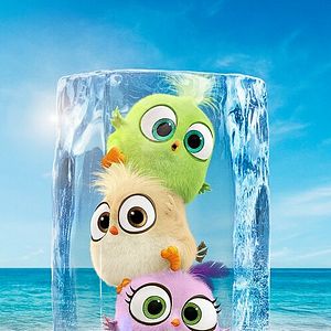 Photo Angry Birds : Copains comme cochons