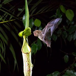 Photo Notre planète