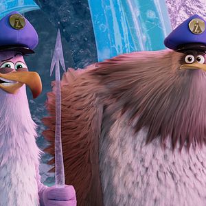 Photo Angry Birds : Copains comme cochons