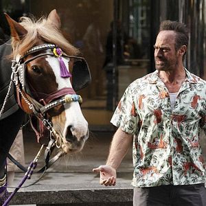Photo Christopher Meloni