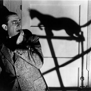 Photo Le Chat noir