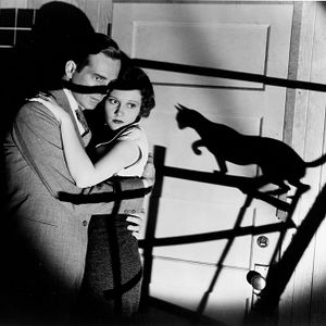 Photo Le Chat noir