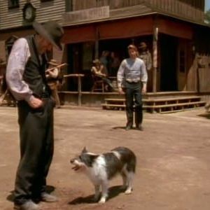 Photo Docteur Quinn, femme médecin