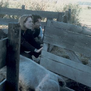 Photo X-Files