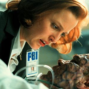 Photo X-Files