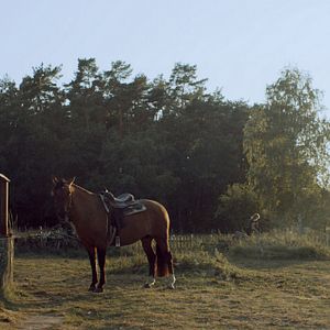 Photo Sebastian Fräsdorf