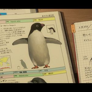 Photo Le Mystère des pingouins