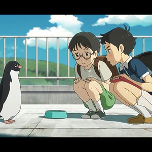 Photo Le Mystère des pingouins