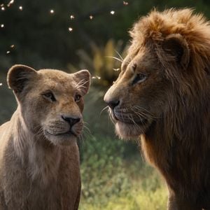 Photo Le Roi Lion