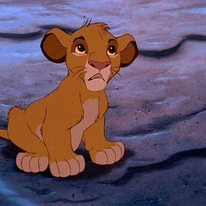 Photo Le Roi Lion
