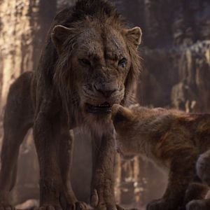 Photo Le Roi Lion