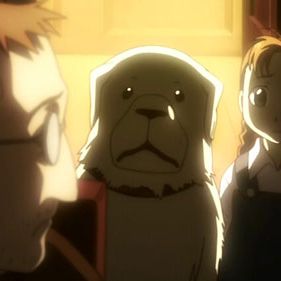 Photo Fullmetal Alchemist
