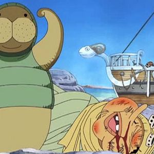 Photo One Piece