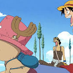 Photo One Piece
