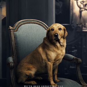 Photo Downton Abbey