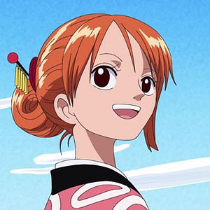 Photo One Piece