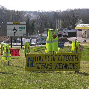 Photo Graines de ronds-points