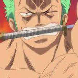 Photo One Piece