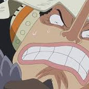 Photo One Piece
