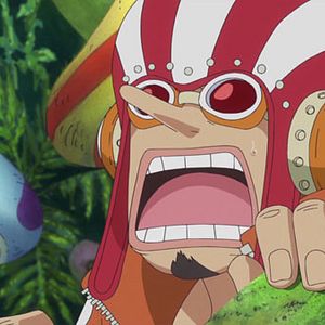 Photo One Piece