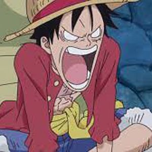 Photo One Piece