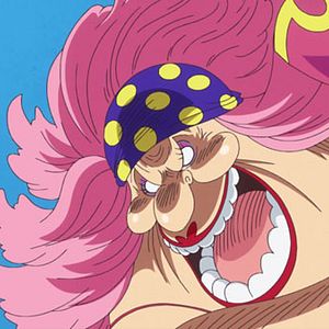 Photo One Piece