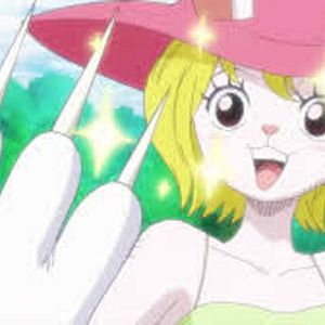 Photo One Piece