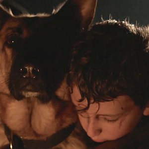 Photo Shepherd: The Story of a Jewish Dog