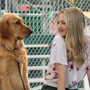 Photo Dans les yeux d'Enzo