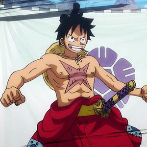 Photo One Piece