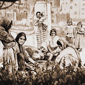 Photo Le Char et l'olivier, une autre histoire de la Palestine