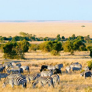Photo Şahan Gökbakar
