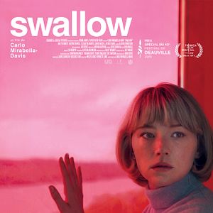 Photo Swallow