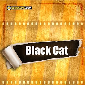 Photo Black Cat