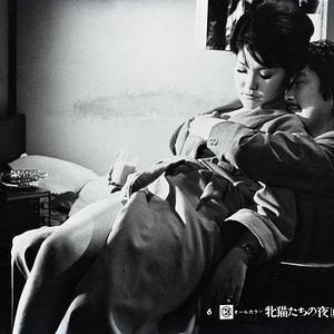 Photo Nuits félines à Shinjuku