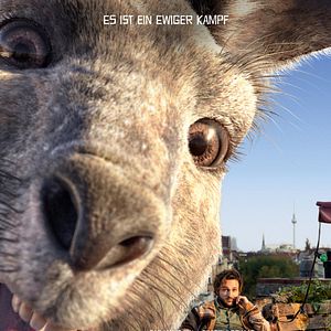 Photo The Kangaroo Chronicles