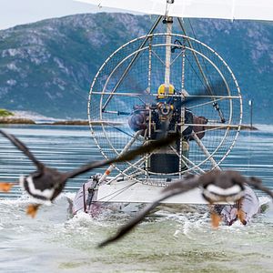 Photo Donne-moi des ailes