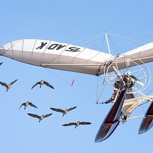 Photo Donne-moi des ailes