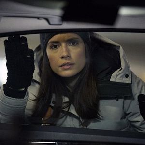 Photo Torrey DeVitto