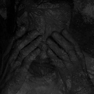 Photo Didier Sauvegrain