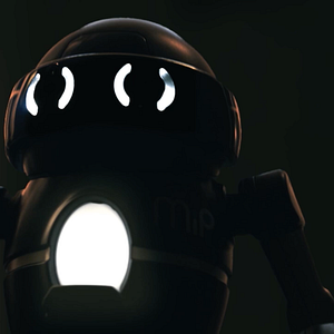 Photo Robot