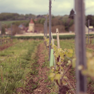 Photo Un pas vers vous dans l'Allier